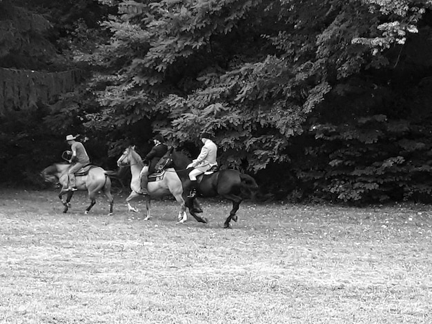 Gente montando a caballo en el campo