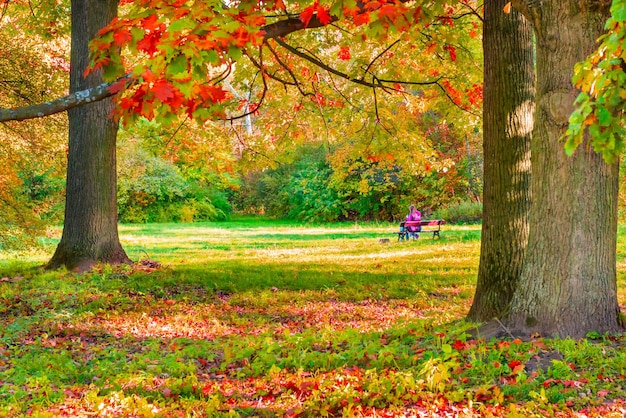 Gente en el parque de otoño