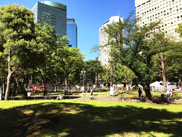 Gente en el parque