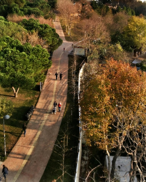 Foto gente en el parque