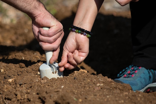 Gente plantando semillas en su jardín.