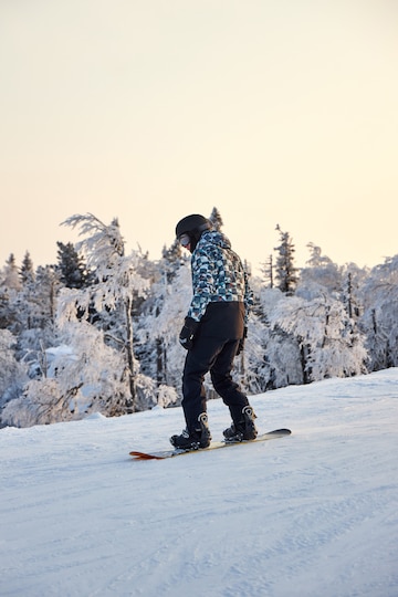 hombre en esquí gafas de protección paseos un tabla de snowboard desde un  Nevado montaña 29560567 Foto de stock en Vecteezy