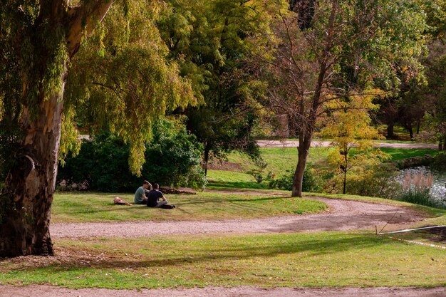 Foto la gente se relaja en el parque.