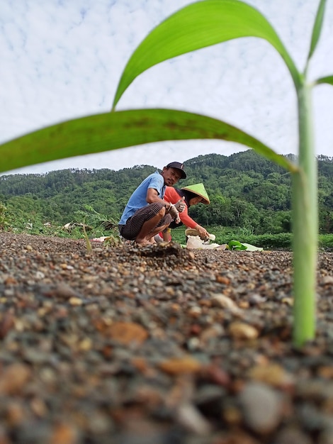 Foto gente sentada en piedras