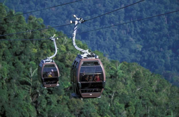 Gente viajando en teleféricos aéreos contra montañas de árboles