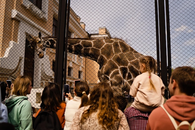 Gente viendo una jirafa en la vista del zoológico desde atrás