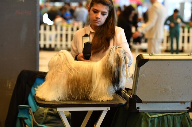 GENUA, ITALIEN – 21. MAI 2016 – Jährliche öffentliche internationale Hundeausstellung