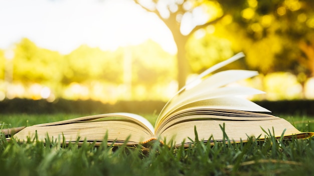 Geöffnetes Buch auf Gras am Sonnenlicht