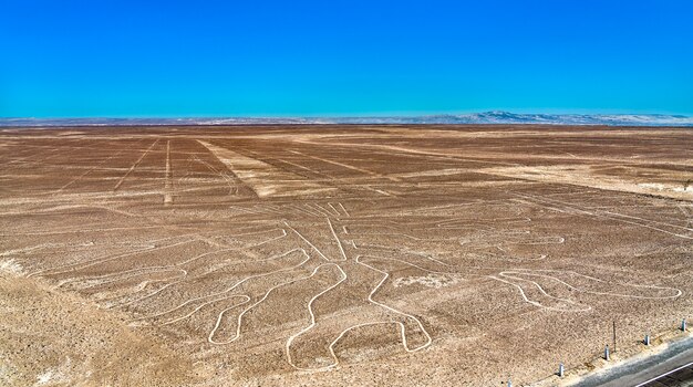 El geoglifo del árbol en Nazca en Perú