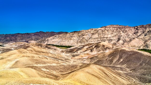 El geoglifo del mono en Palpa en Perú