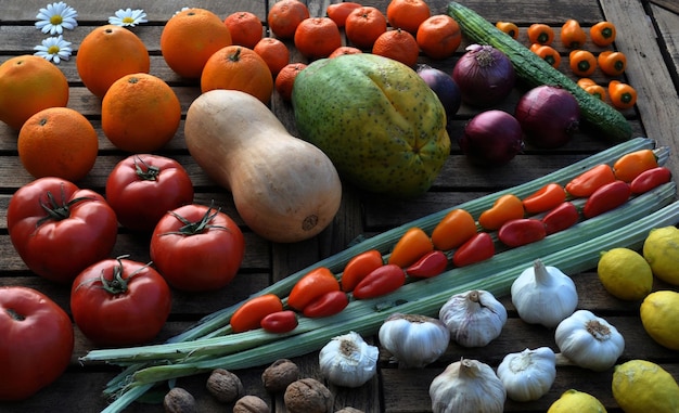 Foto geometria com vegetais