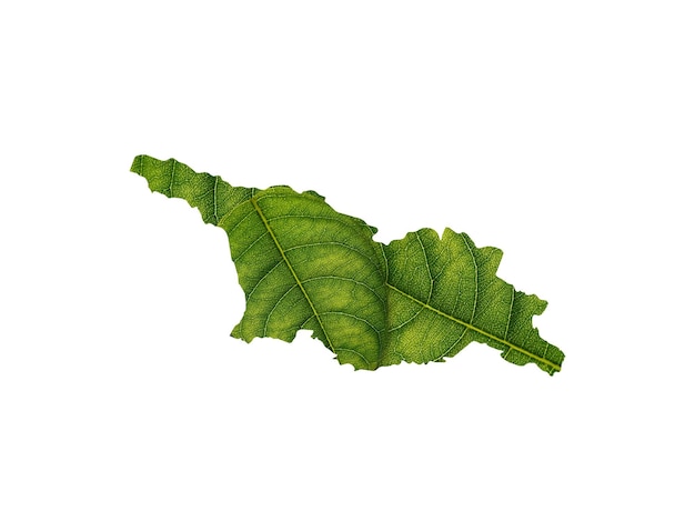 Georgia mapa hecho de hojas verdes sobre fondo blanco aislado concepto de ecología