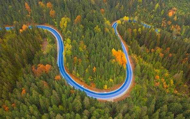 Gepflasterte Straße der Herbstlandschaft im Bergwald