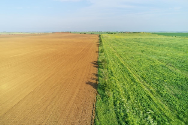 Gepflegte Wiese und grüne Wiese