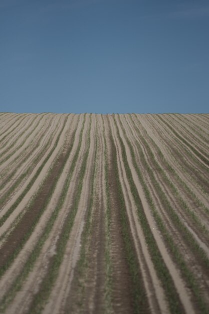 Gepflügtes Feld am Morgen