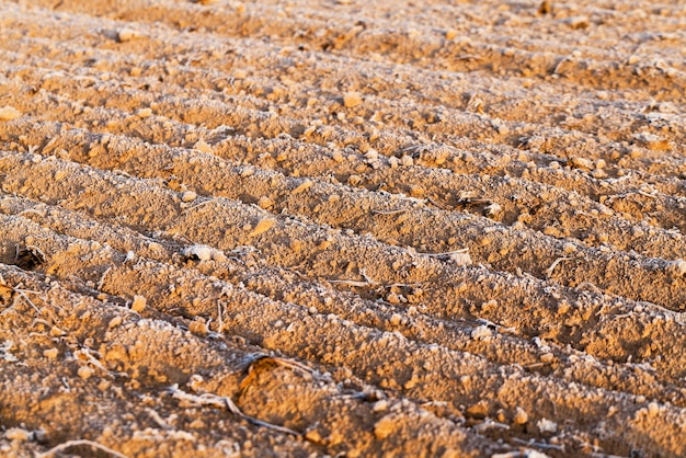 Gepflügtes Land Frost