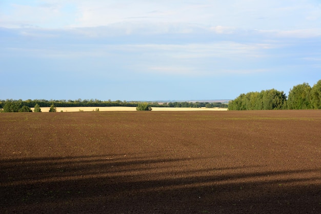 Gepflügtes landwirtschaftliches Feld mit Weizenfeld im Hintergrund und Kopierraum bei bewölktem Himmel