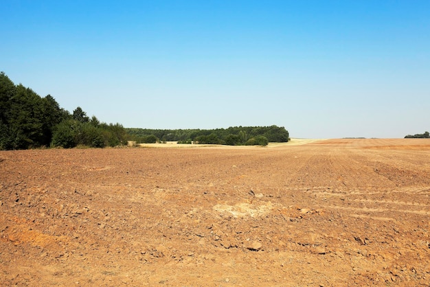 Gepflügtes landwirtschaftliches Feld