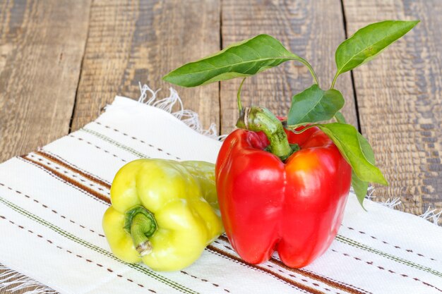 Gerade gepflückte reife rote und gelbe Paprika, die auf einem Handtuch mit Ornament auf Holzbrettern liegen. Bulgarische oder süße Paprika.