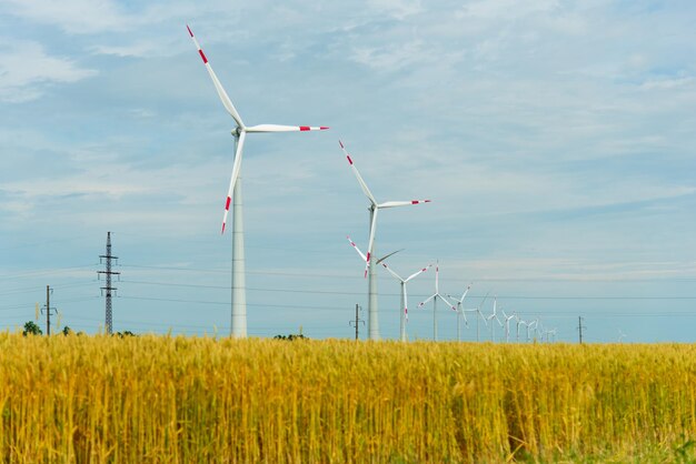 Geradores de vento em um campo de trigo. Ecologia. Engenharia de Energia. Verão 2022. Energia alternativa.