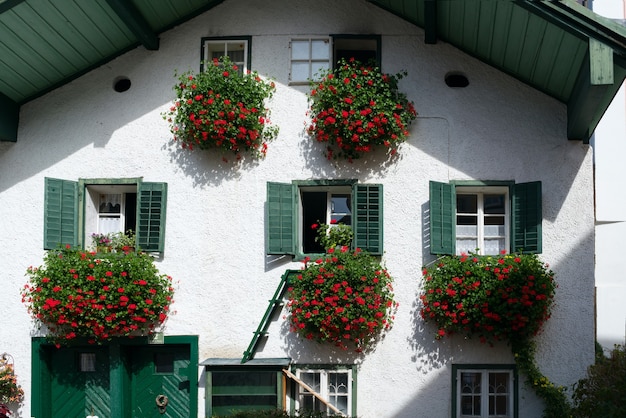 Geranios rojos colgando de una casa en St. Gilgen