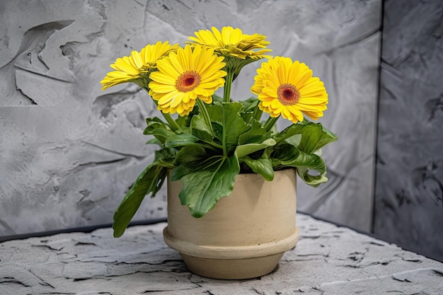 Gerbera amarela cercada por folhagem verde em vaso de concreto criado com ai generativo