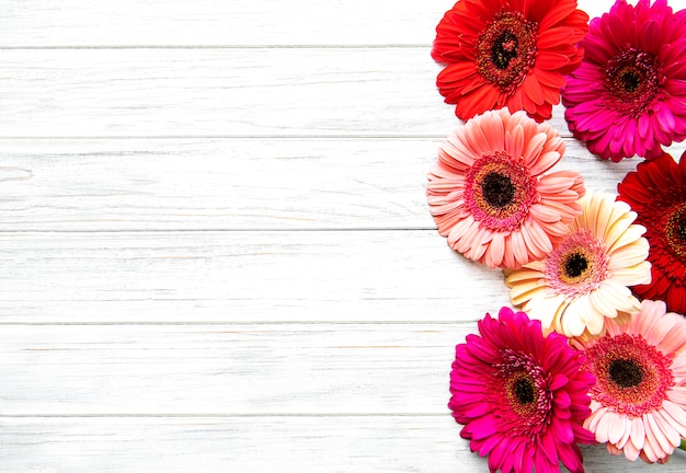 Gerbera brilhante flores sobre fundo de madeira