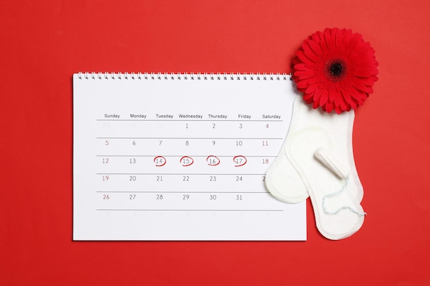 Gerbera, calendario menstrual, pastillas y tampones sobre un fondo rojo. Concepto de ovulación. concepto de menstruación.