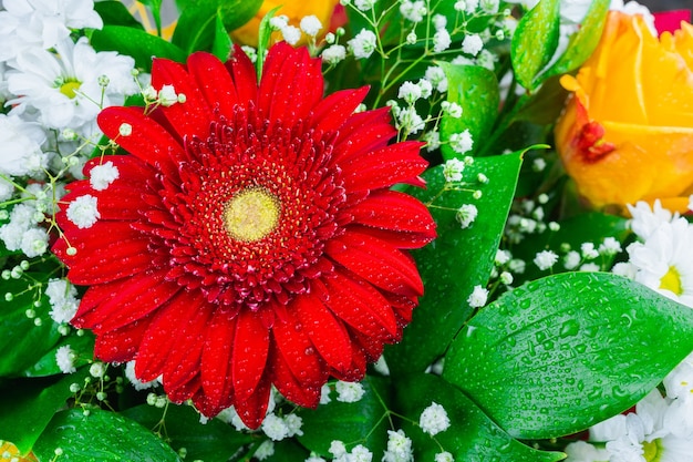 Gerbera Chrysantheme und Rose