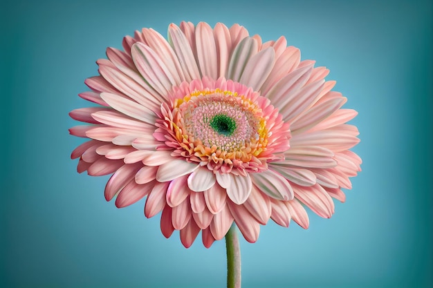 Gerbera consideravelmente rosa em um fundo macio IA generativa