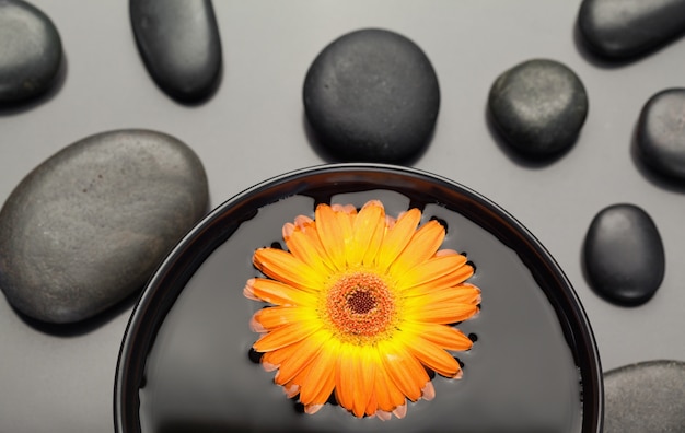 Gerbera laranja flutuando em uma tigela cercada por seixos pretos