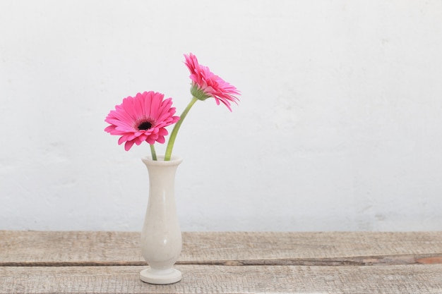 Gerbera rosa en pared vieja