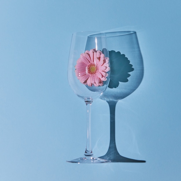 Gerbera rosa en un vaso sobre un fondo azul concepto de primavera