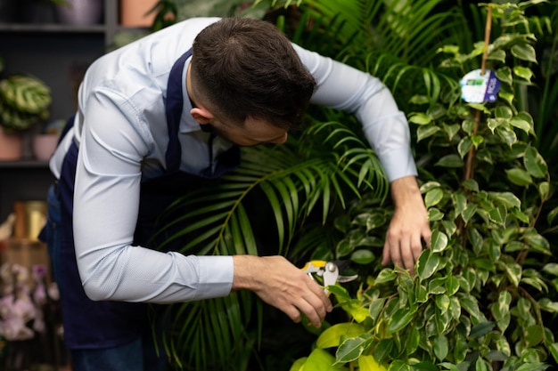 Foto gerente de uma loja de plantas em vaso é aparado que deixa uma flor