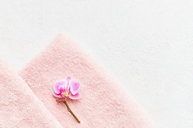 Gerollte rosa Handtuch und Orchideenblume auf weißem Betontisch. Minimalistischer skandinavischer Stil. SPA