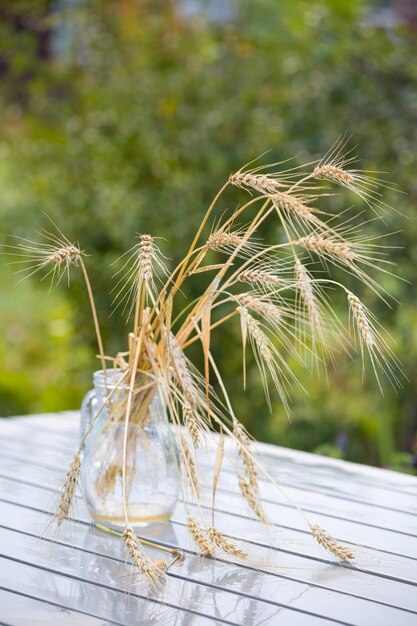 Gerstenohren in Glasvase auf dem nassen Tisch im Garten Weizen nach Regen