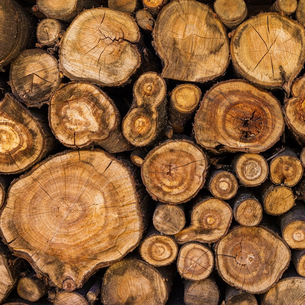 Gesägte Baumstämme in einem Holzstapel gestapelt