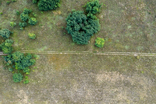 gesäte landwirtschaftliche Feldansicht von oben