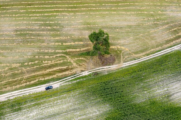 gesätes landwirtschaftliches Feld Ansicht von oben