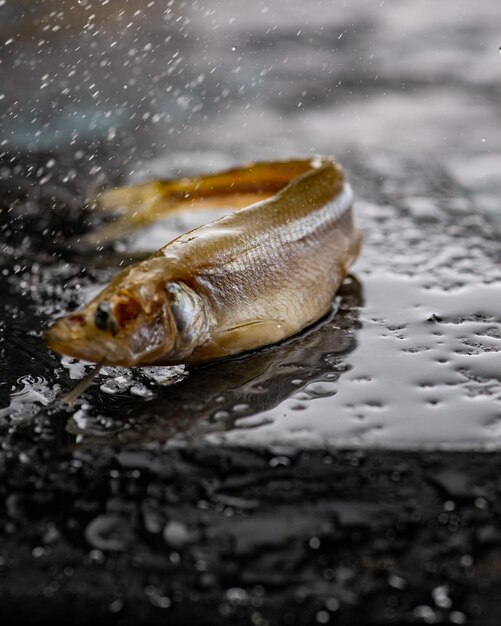 Gesalzener getrockneter Grundelfisch Fischvorspeise für Bier