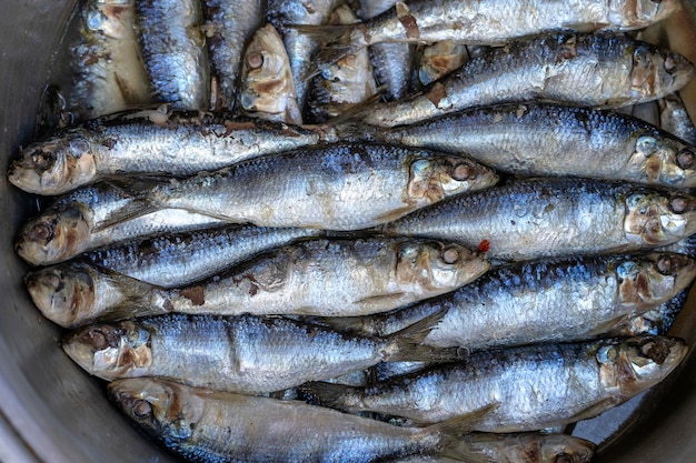 Gesalzener Meeresfisch auf dem Straßenmarkt in Ubud Bali Indonesien Meeresfrüchte-Konzept Roher Fisch zum Kochen in der Nähe