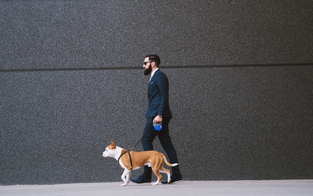 Geschäftsmann, der Hund an der Straße geht.