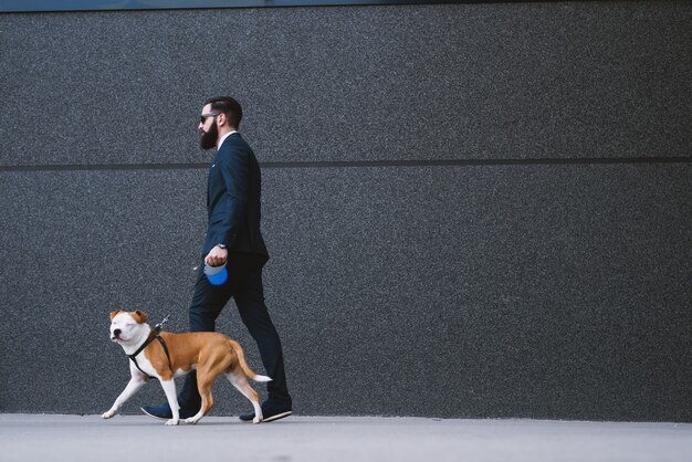 Geschäftsmann, der Hund an der Straße geht.