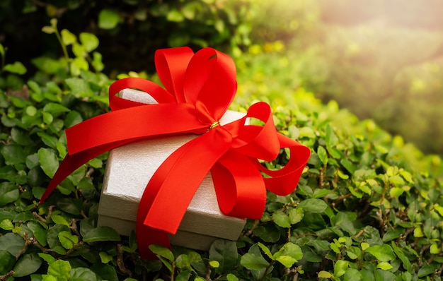 Geschenkbox auf grünen Ästen. Geschenk mit einer roten Schleife auf den Blättern