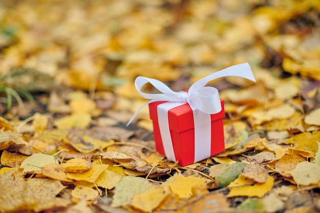 Geschenkbox im Herbstlaub