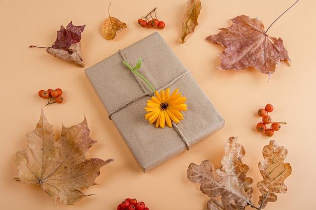 Geschenkbox in Papier mit Herbstdekorationen eingewickelt