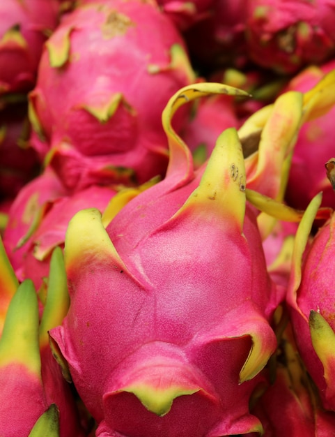 Geschlossen herauf vibrierende rosa Drachefrucht oder Erdbeerbirne, populäre Frucht in der Kaktus-Familie