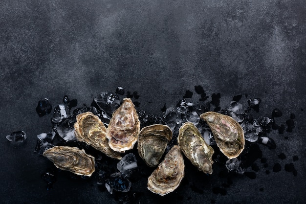 Geschlossene Austern auf schwarzem Tafelhintergrund. Gesunde Meeresfrüchte