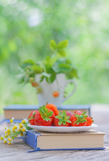 Geschlossenes Buch und rote reife Erdbeeren auf rustikalem Holztisch im Garten