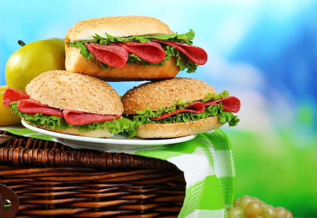 Geschmackvolle Sandwiches auf einem Picknickkorb aus Weide auf grünem Gras auf blauem Hintergrund